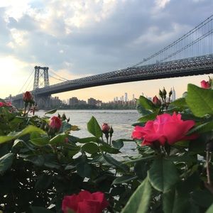 Meet your Posher, Alexandra